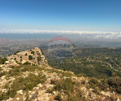 اراضي للبيع في Jerd El Njass - R9-3605 Land for Sale in Jerd El Njass &ndash; Danniyeh, 15,600 m&sup2;, Zoning 20/40 أرض للبيع في جرد النجاص الضنية &ndash; 15,600 م&sup2;، تصنيف 20/40