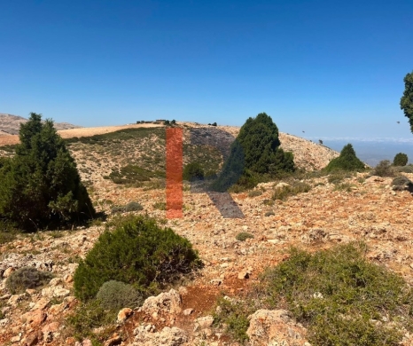 R9-3605 Land for Sale in Jerd El Njass – Danniyeh, 15,600 m², Zoning 20/40 — 4