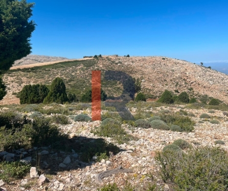 R9-3605 Land for Sale in Jerd El Njass – Danniyeh, 15,600 m², Zoning 20/40 — 3