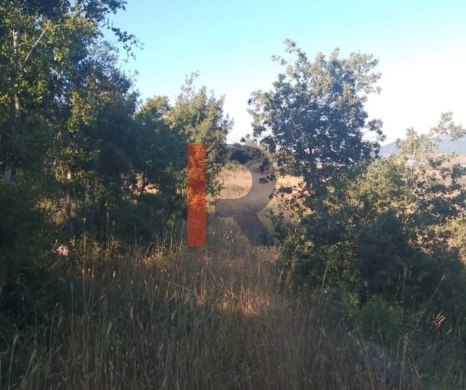 R9-3611 Land for Sale in Sandyana – Akkar, 5429 m² — 2