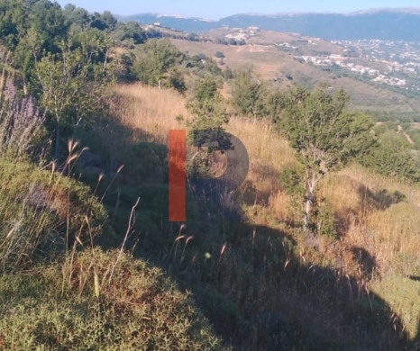 R9-3611 Land for Sale in Sandyana – Akkar, 5429 m² — 3