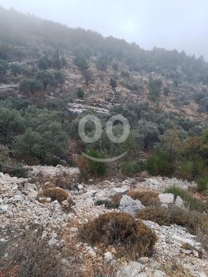 Lands for sale dans Barhalioun - Land for Sale Barhalioun Bsharri Area 6905Sqm
