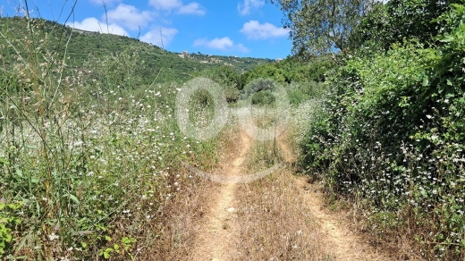 Land for Sale Ain Kfaa Jbeil Area 5185Sqm — 2