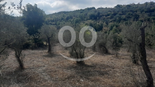 Lands for sale dans Bejje - Land for Sale Ain Kfaa Jbeil Area 5185Sqm