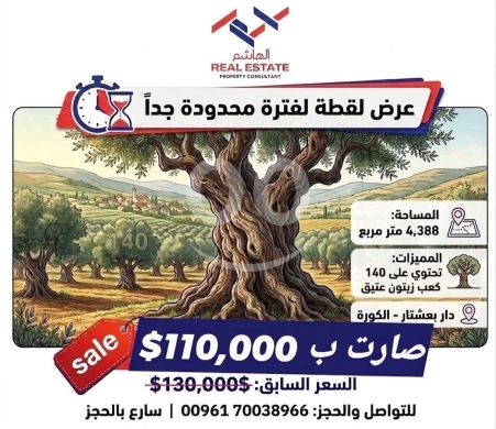 Lands for sale dans Dar Baachtar - أرض للبيع في دار بعشتار مع 140 شجرة زيتون عتيقة | Land for Sale in Darbaachtar