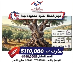 أرض للبيع في دار بعشتار مع 140 شجرة زيتون عتيقة | Land for Sale in Darbaachtar