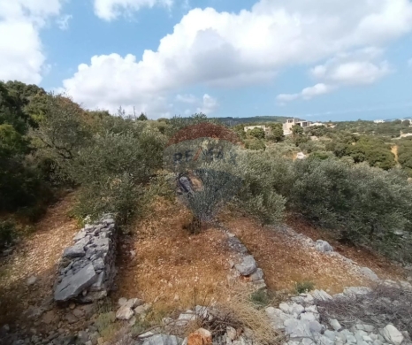 Lands for sale in Batroun - R9-3613 Land for Sale in Chabtine &ndash; Batroun, 950 m&sup2;, Zoning 25/50أرض للبيع في شبطين البترون &ndash; 950 م&sup2;، تصنيف 25/50