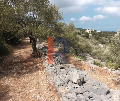 R9-3613 Land for Sale in Chabtine – Batroun, 950 m², Zoning 25/50 — 3
