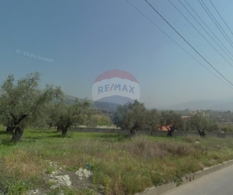 Lands for sale in Alma - R9-3616 Land for Sale in Alma &ndash; Wadi Al Rayhan, 3669 m&sup2;, Agriculturalأرض للبيع في علما وادي الريحان &ndash; 3669 م&sup2;، زراعية