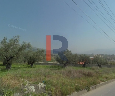 R9-3616 Land for Sale in Alma – Wadi Al Rayhan, 3669 m², Agricultural