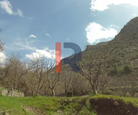 R9-3621 Land for Sale in Biqarsouna – Danniyeh, 750 m², Zoning 25/50 — 4