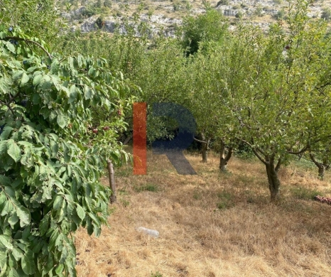 R9-3621 Land for Sale in Biqarsouna – Danniyeh, 750 m², Zoning 25/50 — 3