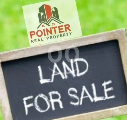 اراضي للبيع في مونتفيردي - أرض مميزة للبيع في مونتيفيردي | Prime Land for Sale in Monteverde