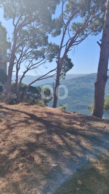 اراضي للبيع في عين سعاده - أرض حصرية للبيع في عين سعادة بإطلالة صنوبر | Exclusive Land for Sale in Ain Saade Pine View