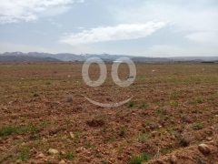 عقار زراعي متكامل ومثمر للبيع | Fully Equipped Agricultural Estate with Orchard & Farm