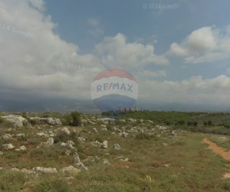 Lands for sale in Nakhleh - R9-3649Land for Sale in Nakhleh &ndash; Koura, 1518 m&sup2; Residential, Zoning 20/40 أرض للبيع في نخلة الكورة &ndash; 1518 م&sup2; سكنية، تصنيف 20/40