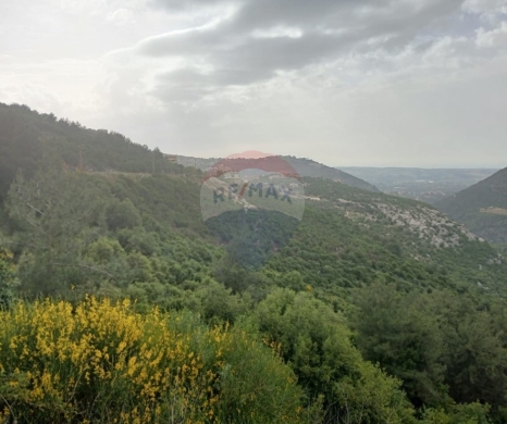 Lands for sale in Kousba - R9-3651 Land for Sale in Kosba &ndash; Koura, 1157 m&sup2; Residential, Zoning 25/50, Main Street Frontageأرض للبيع في كوسبا الكورة &ndash; 1157 م&sup2; سكنية، تصنيف 25/50، واجهة على الشارع الرئيسي