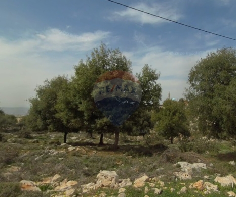 Lands for sale in Izal - R9-3652 Land for Sale in Izal &ndash; Danniyeh, 1000 m&sup2; Residentialأرض للبيع في إيزال الضنية &ndash; 1000 م&sup2; سكنية