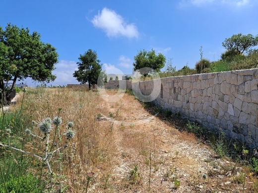 أرض للبيع في حدتون - البترون بمساحة 1447 متر مربع | Land for Sale in Hadtoun, Batroun — 4
