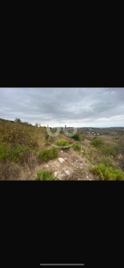 Lands for sale dans Kroum Arab - للبيع ارض كروم عرب ١٢٢٠ م