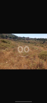 Lands for sale dans Mazraat Baldeh - للبيع ارض مزرعة بلدة مساحة ٣٠٠٠ م