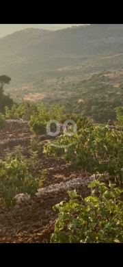 أرض للبيع في كفر حاصبيا بمساحة 1,800 متر مربع | Land for Sale in Kfeir, Hasbaya – 1,800 s… — 2