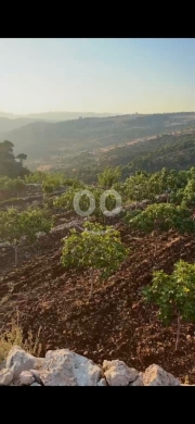 أرض للبيع في كفر حاصبيا بمساحة 1,800 متر مربع | Land for Sale in Kfeir, Hasbaya – 1,800 s… — 3