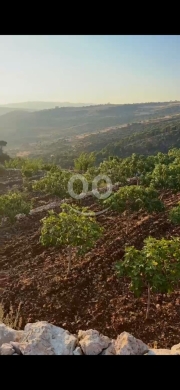 Lands for sale in Kfeir - أرض للبيع في كفر &ndash; حاصبيا بمساحة 1,800 متر مربع | Land for Sale in Kfeir, Hasbaya &ndash; 1,800 sqm