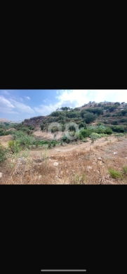 اراضي للبيع في Machha - أرض للبيع في مشحا بمساحة 2330 متر | Land for Sale in Mechha, 2330 sqm