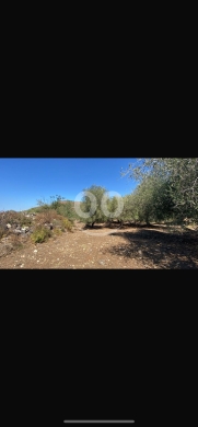 اراضي للبيع في Machha - أرض للبيع في مشحا بمساحة 1200 متر مربع | Land for Sale in Mechha, 1200 sqm