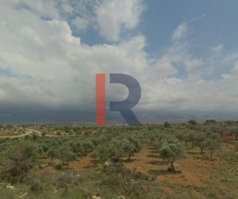 R9-3694 Land for Sale in Nakhleh – Koura, 1515 m², Zoning 20/40 — 2