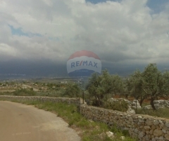 R9-3694 Land for Sale in Nakhleh – Koura, 1515 m², Zoning 20/40 أرض للبيع في نخلة الكورة – 1515 م²، تصنيف 20/40