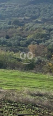 Lands for sale in Safinet el-Dreib - أرض للبيع في سفينة الدريب 16000 متر مربع | Land for Sale in Safinat ad-Draib 16000 SQM