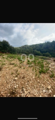 Lands for sale in Gebrayel - أرض للبيع في جبرايل 5000 متر مربع | Land for Sale in Jbayel 5000 SQM