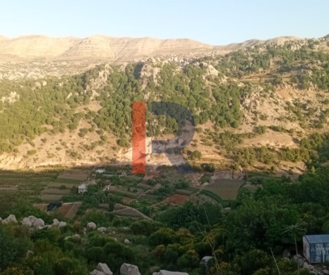 R9-3720 Land for Sale in Kahmez – Jbeil, 12,500 m², Pine Trees — 3