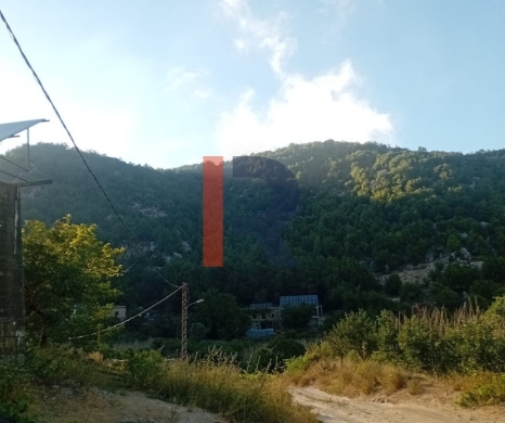 R9-3720 Land for Sale in Kahmez – Jbeil, 12,500 m², Pine Trees — 2