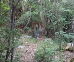 R9-3720 Land for Sale in Kahmez &ndash; Jbeil, 12,500 m&sup2;, Pine Treesأرض للبيع في كحمز جبيل &ndash; 12,500 م&sup2;، مزروعة بالصنوبر