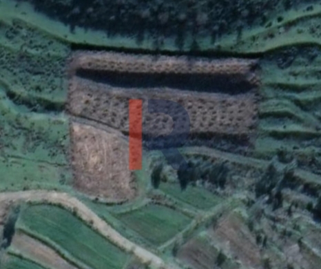 R9-3721 Land for Sale in Bireh – Akkar, 3300 m², Planted with Trees — 2