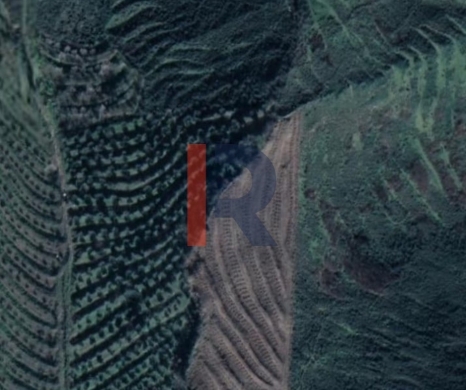 R9-3721 Land for Sale in Bireh – Akkar, 3300 m², Planted with Trees — 3