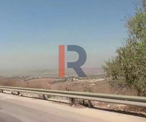 R9-3722 Land for Sale in Bireh – Akkar, 9500 m², Planted with Kina Trees — 2