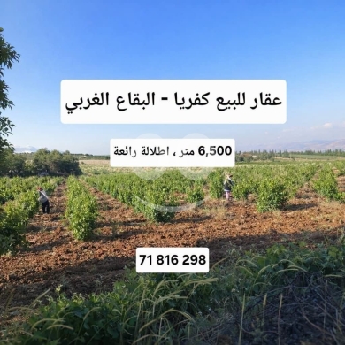 Lands for sale dans Kefraya - أرض مميزة للبيع في كفريا البقاع الغربي | Prime Land for Sale in Kefraya West Bekaa