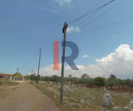 R9-3729 Land for Sale in Nakhleh – Koura, 1778 m², Zoning 20/40 — 3