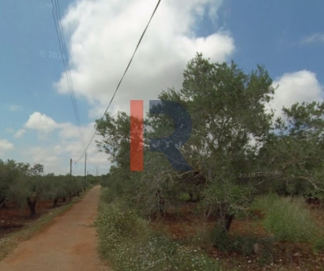 R9-3729 Land for Sale in Nakhleh – Koura, 1778 m², Zoning 20/40 — 2