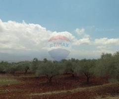 R9-3729 Land for Sale in Nakhleh – Koura, 1778 m², Zoning 20/40أرض للبيع في نخلة الكورة – 1778 م²، تصنيف 20/40