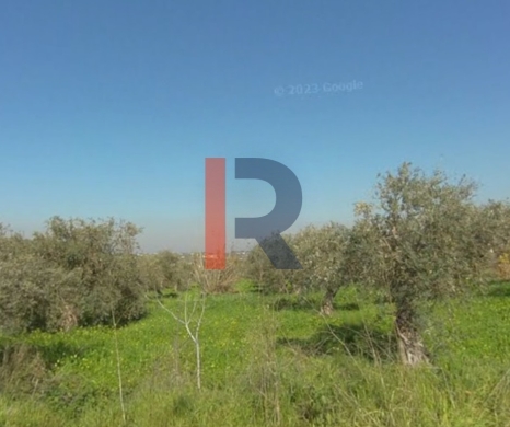 R9-3128 Land for Sale in Jdaidet El Qaitea – Akkar — 3
