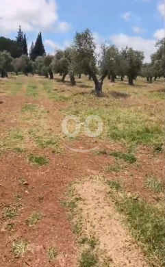 Lands for sale in Bechmizzine - ارض زراعية ب منطقة اميون الكورة