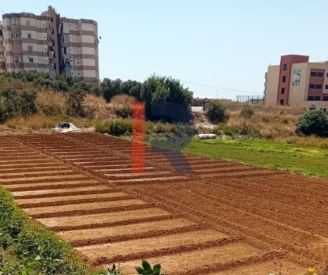 R9-3725 Two Connected Lands for Rent in Shouaifat – Mount Lebanon, 5764 m²