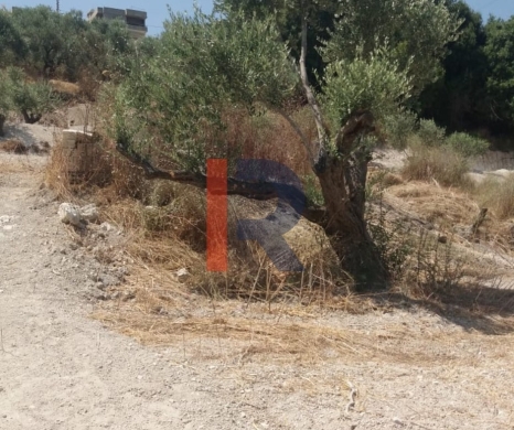 R9-3764 Land for Sale in Aabra – Saida, 2,365 m², Zoning 15% — 6