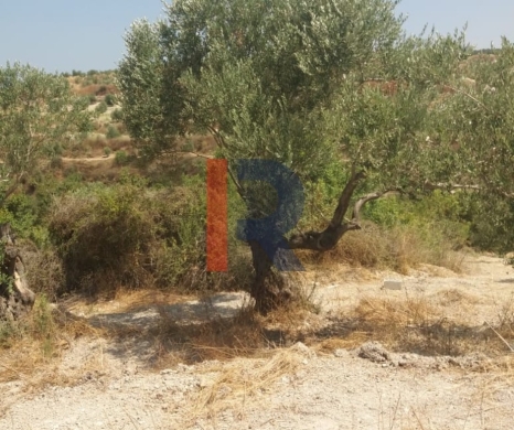 R9-3764 Land for Sale in Aabra – Saida, 2,365 m², Zoning 15% — 2