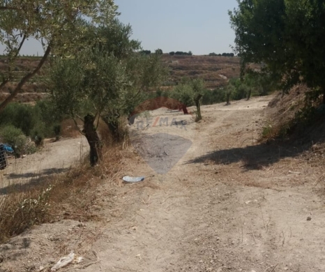 اراضي للبيع في صيدا - R9-3764 Land for Sale in Aabra &ndash; Saida, 2,365 m&sup2;, Zoning 15% أرض للبيع في عبرا صيدا &ndash; 2,365 م&sup2;، تصنيف %15